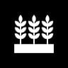 wheat icon
