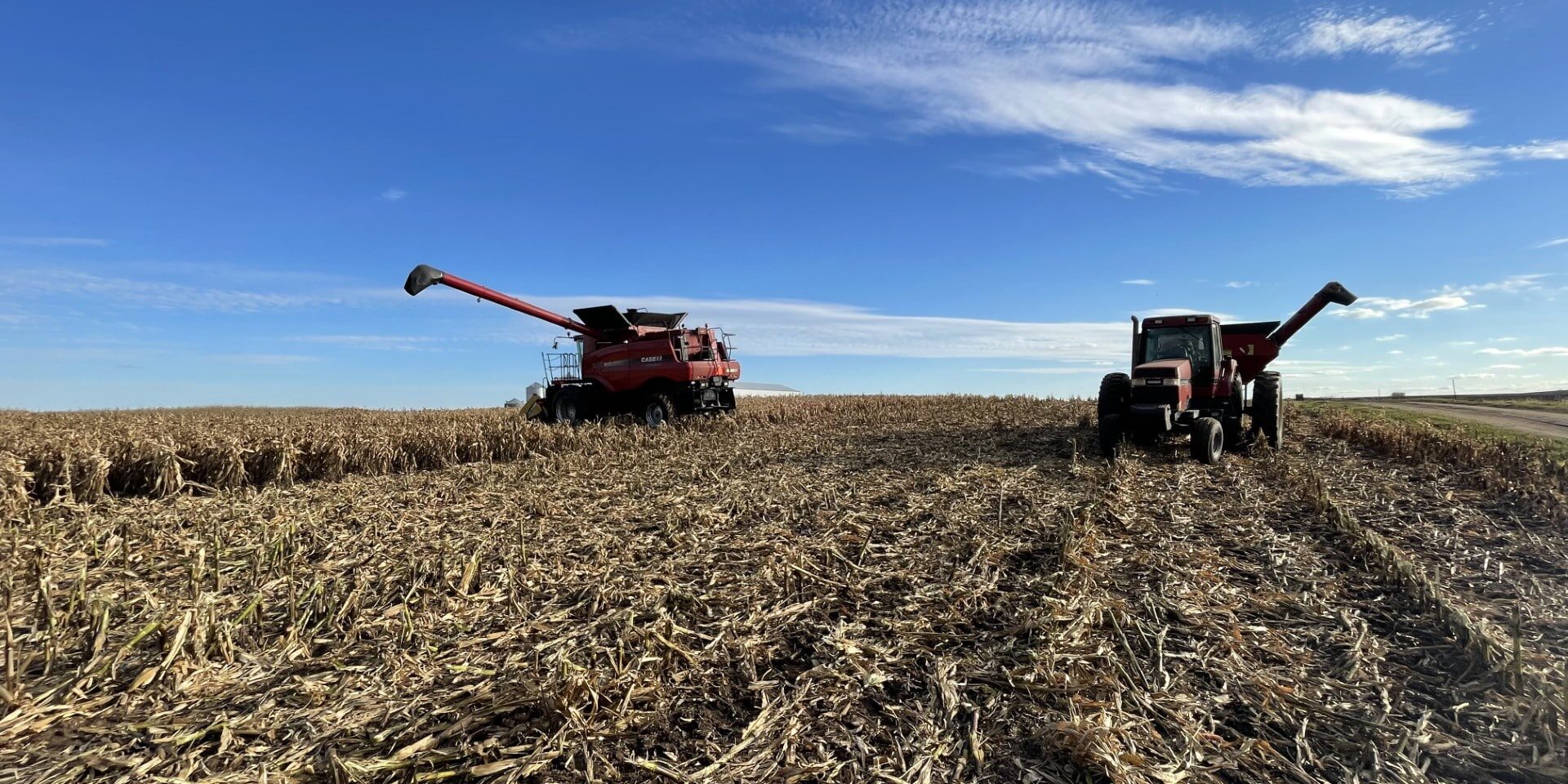 corn field with combine and grain cart with blue sky